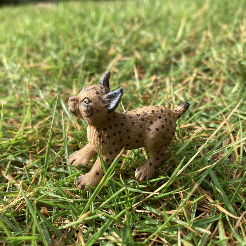 Realistic Animal Toy Model Min - Baby Products Pictures incelemesi ve fiyatı
