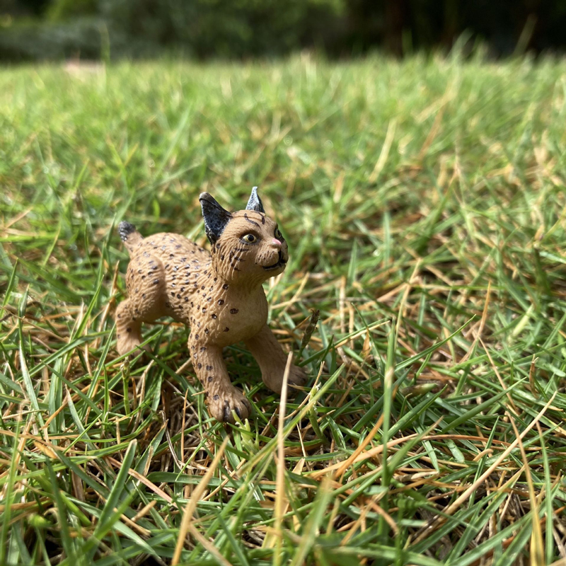 Realistic Animal Toy Model Min - Baby Products Pictures incelemesi ve fiyatı